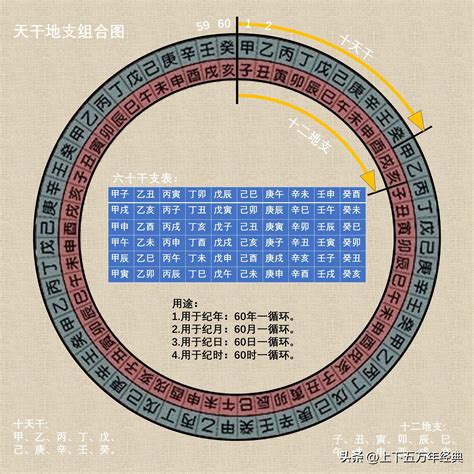 天甘地支|干支(中国传统历法)